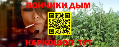 трава Кандалакша