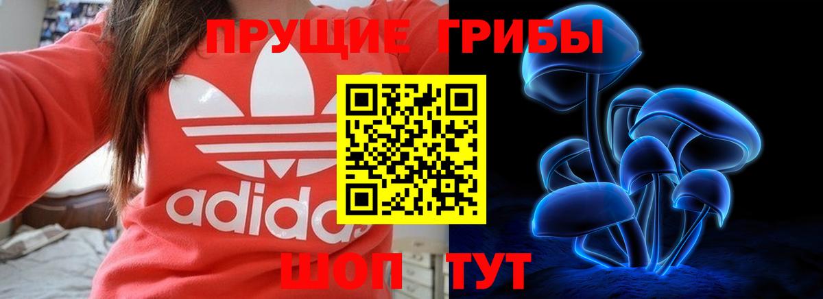 Псилоцибиновые грибы мухоморы Лениногорск